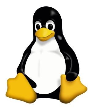 Linux Disk Genişletme - blog.beyazdc.com